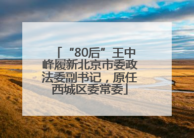 “80后”王中峰履新北京市委政法委副书记，原任西城区委常委