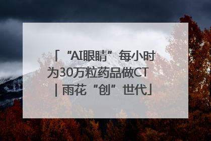 “AI眼睛”每小时为30万粒药品做CT｜雨花“创”世代