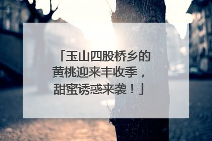 玉山四股桥乡的黄桃迎来丰收季，甜蜜诱惑来袭！