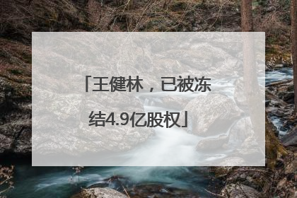 王健林，已被冻结4.9亿股权