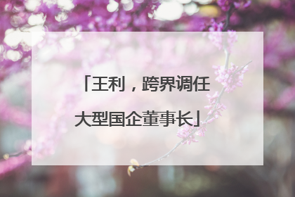 王利，跨界调任大型国企董事长