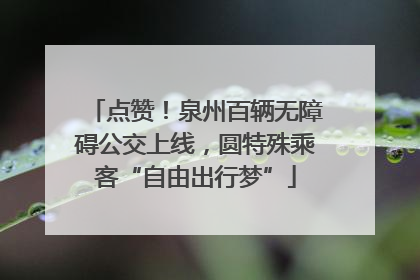 点赞！泉州百辆无障碍公交上线，圆特殊乘客“自由出行梦”