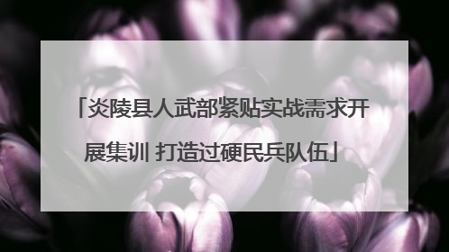 炎陵县人武部紧贴实战需求开展集训 打造过硬民兵队伍