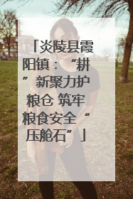 炎陵县霞阳镇：“耕”新聚力护粮仓 筑牢粮食安全“压舱石”