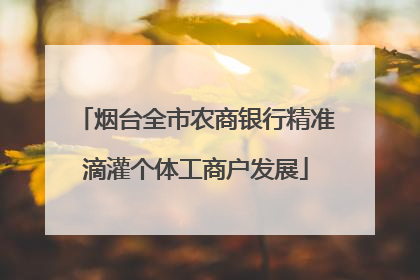 烟台全市农商银行精准滴灌个体工商户发展