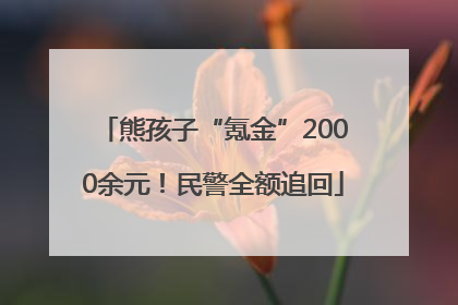 熊孩子“氪金”2000余元！民警全额追回