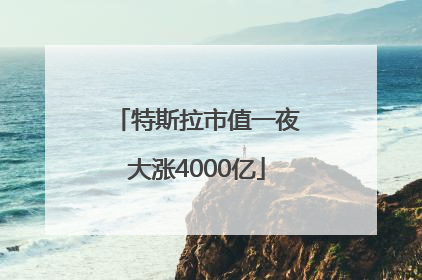 特斯拉市值一夜大涨4000亿