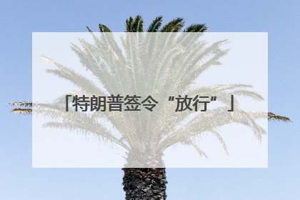 特朗普签令“放行”