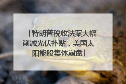特朗普税收法案大幅削减光伏补贴，美国太阳能股集体崩盘