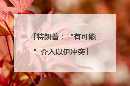 特朗普：“有可能”介入以伊冲突