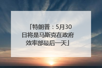 特朗普：5月30日将是马斯克在政府效率部最后一天