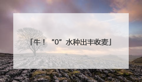 牛！“0”水种出丰收麦