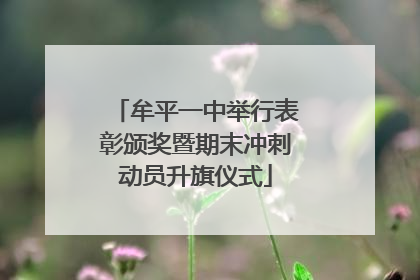 牟平一中举行表彰颁奖暨期末冲刺动员升旗仪式