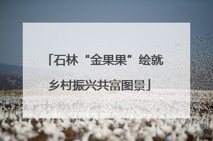 石林“金果果”绘就乡村振兴共富图景