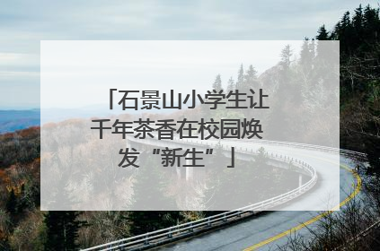 石景山小学生让千年茶香在校园焕发“新生”