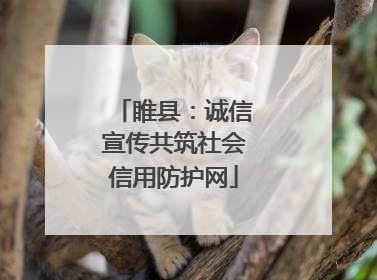 睢县：诚信宣传共筑社会信用防护网