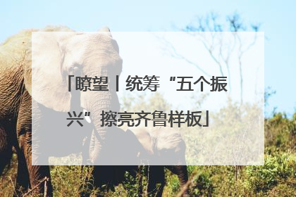 瞭望丨统筹“五个振兴”擦亮齐鲁样板