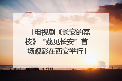 电视剧《长安的荔枝》“荔见长安”首场观影在西安举行