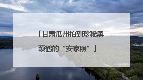甘肃瓜州拍到珍稀黑颈鹤的“安家照”