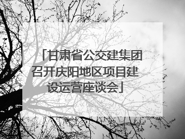 甘肃省公交建集团召开庆阳地区项目建设运营座谈会