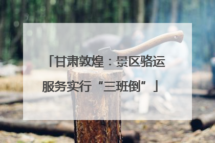 甘肃敦煌：景区骆运服务实行“三班倒”
