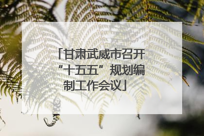 甘肃武威市召开“十五五”规划编制工作会议