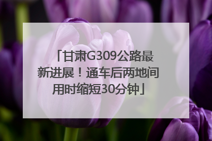 甘肃G309公路最新进展！通车后两地间用时缩短30分钟
