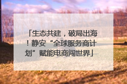 生态共建，破局出海！静安“全球服务商计划”赋能电商闯世界
