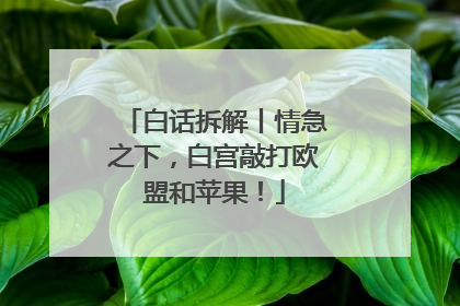 白话拆解丨情急之下，白宫敲打欧盟和苹果！