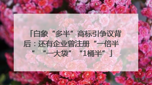 白象“多半”商标引争议背后：还有企业曾注册“一倍半”“一大袋”“1桶半”