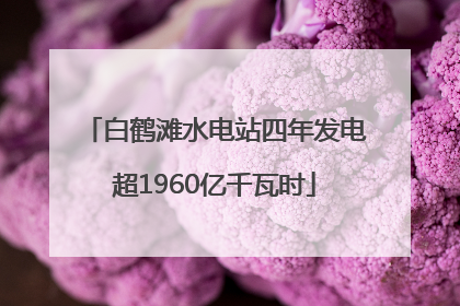 白鹤滩水电站四年发电超1960亿千瓦时