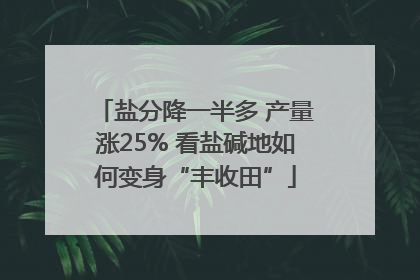 盐分降一半多 产量涨25% 看盐碱地如何变身“丰收田”
