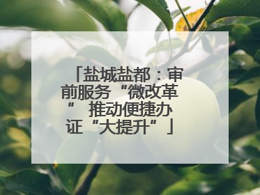盐城盐都：审前服务“微改革” 推动便捷办证“大提升”