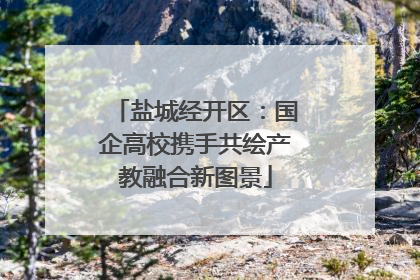 盐城经开区：国企高校携手共绘产教融合新图景