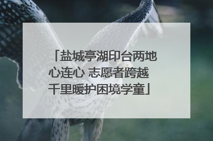 盐城亭湖印台两地心连心 志愿者跨越千里暖护困境学童