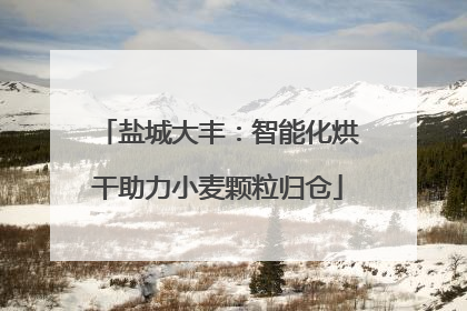 盐城大丰：智能化烘干助力小麦颗粒归仓