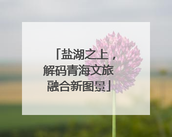 盐湖之上，解码青海文旅融合新图景