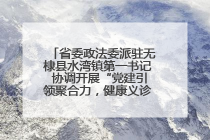 省委政法委派驻无棣县水湾镇第一书记 协调开展“党建引领聚合力，健康义诊惠乡亲”义诊活动