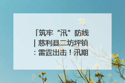 筑牢“汛”防线｜慈利县二坊坪镇：雷霆出击！汛期捕鱼被紧急叫停