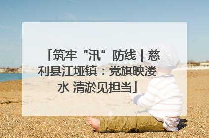 筑牢“汛”防线｜慈利县江垭镇：党旗映溇水 清淤见担当