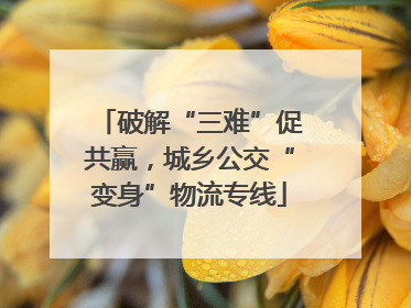 破解“三难”促共赢，城乡公交“变身”物流专线