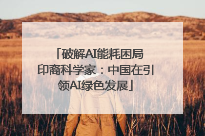 破解AI能耗困局 印裔科学家：中国在引领AI绿色发展