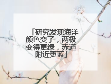 研究发现海洋颜色变了，两极变得更绿，赤道附近更蓝