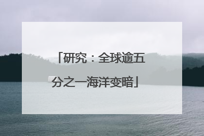 研究：全球逾五分之一海洋变暗