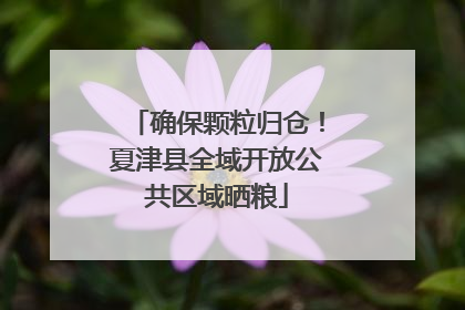 确保颗粒归仓！夏津县全域开放公共区域晒粮