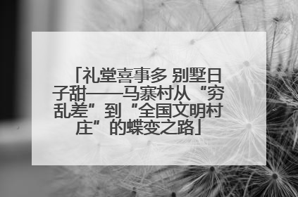 礼堂喜事多 别墅日子甜——马寨村从“穷乱差”到“全国文明村庄”的蝶变之路