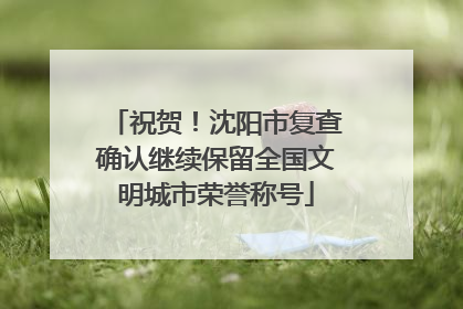 祝贺！沈阳市复查确认继续保留全国文明城市荣誉称号