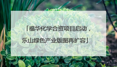 福华化学合资项目启动，乐山绿色产业版图再扩容