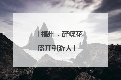 福州：醉蝶花盛开引游人