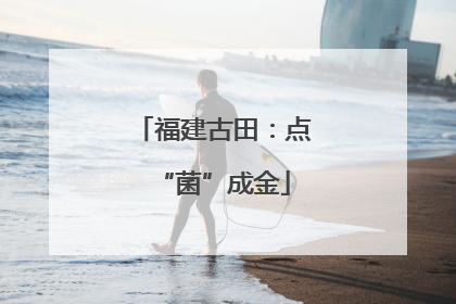 福建古田：点“菌”成金